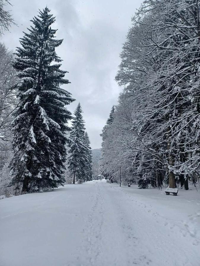 Chaloupka Karlova Studánka